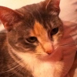 Meet your Posher, Kimmie